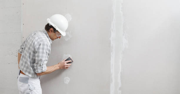 Best Dehumidification Services  in Royse City, TX