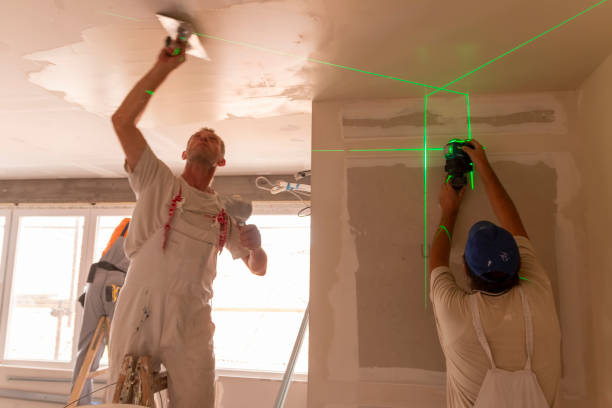 Trusted Royse City, TX Mold Removal Experts
